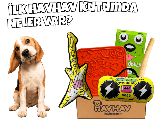 havhav.com.tr